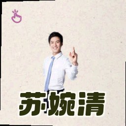 苏婉清