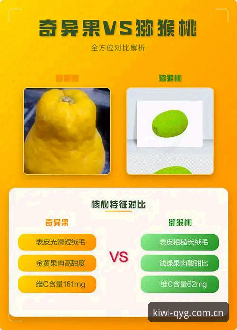 资深用户分享：奇异果体育流畅版对比实战经验，选对版本少走弯路