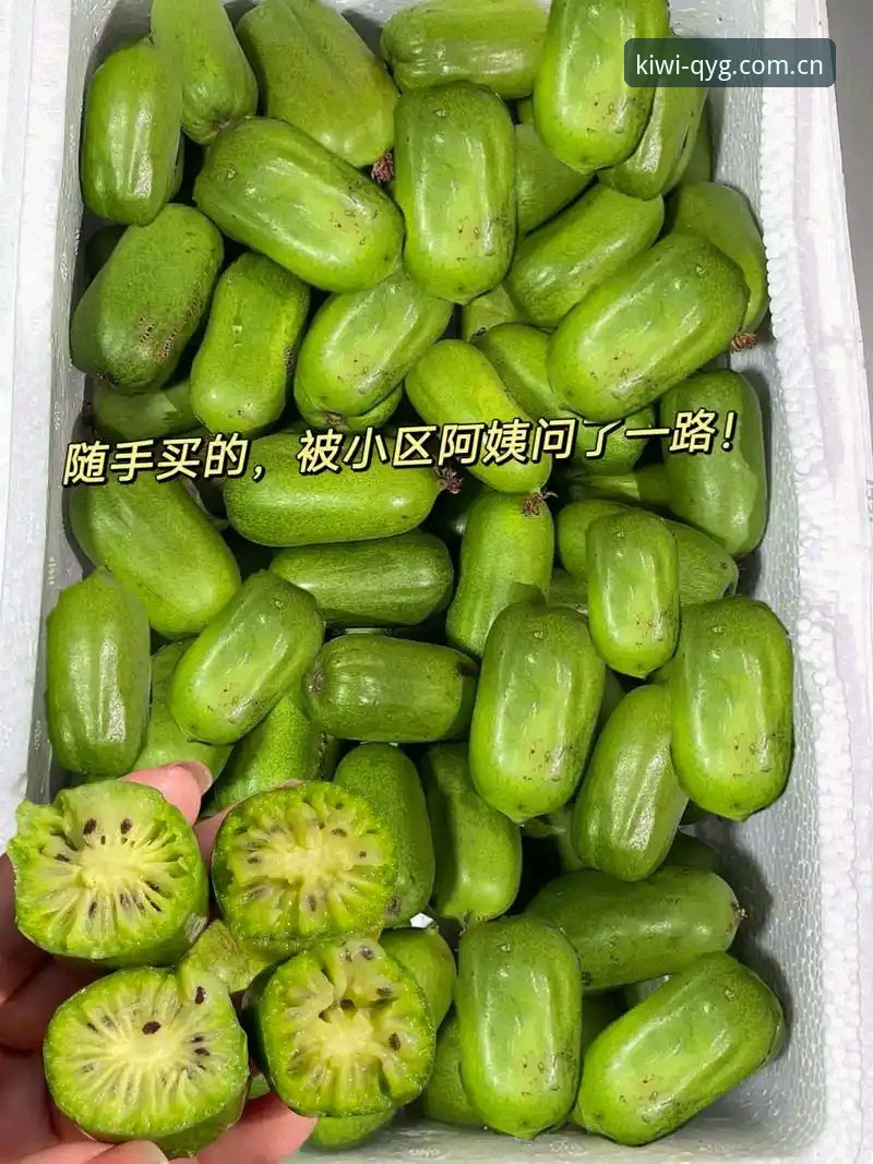 奇异果体育平台实用指南：从安装到高阶体验的必备知识