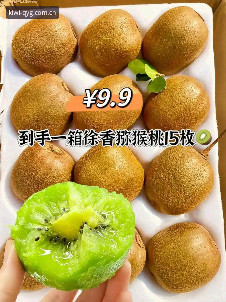 奇异果体育官方网站入口 奇异果体育平台功能详解与官方入口获取指南