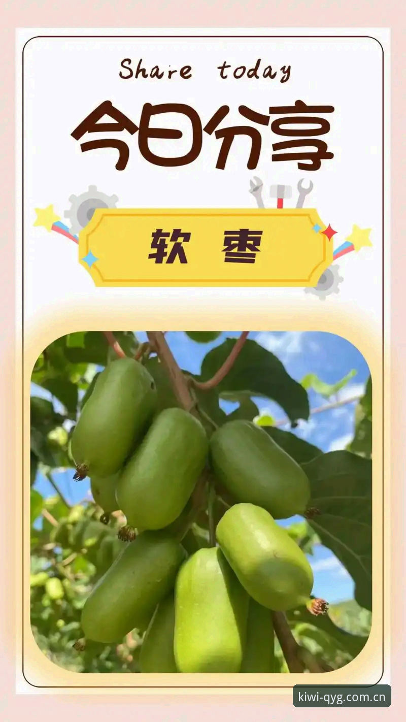 奇异果体育开启体育乐趣 奇异果体育平台安装与使用教程:五分钟开启体育乐趣