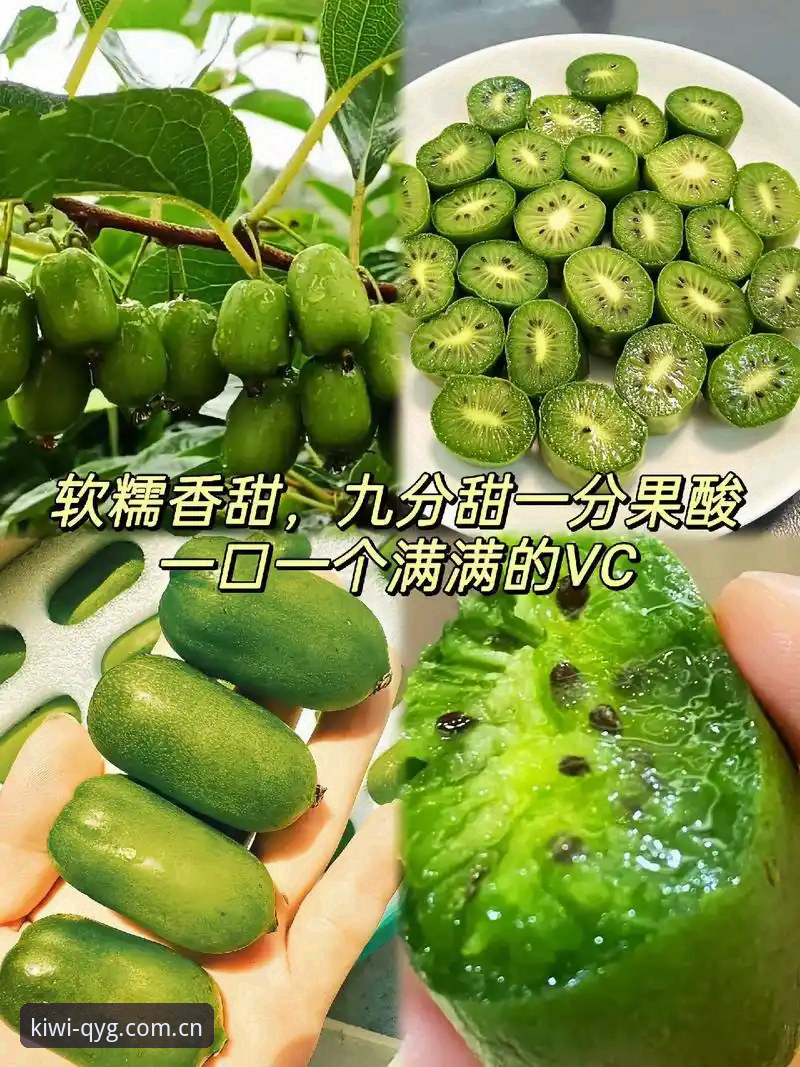 奇异果体育vs传统体育平台：官网安装教程全面对比，哪个更值得选择？